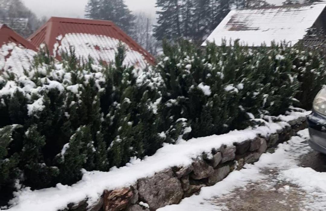 Apartman Bella Vita Kolašin Zewnętrze zdjęcie