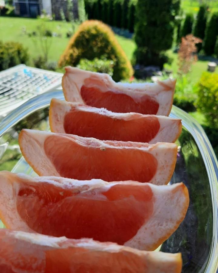 Apartman Bella Vita Kolašin Zewnętrze zdjęcie
