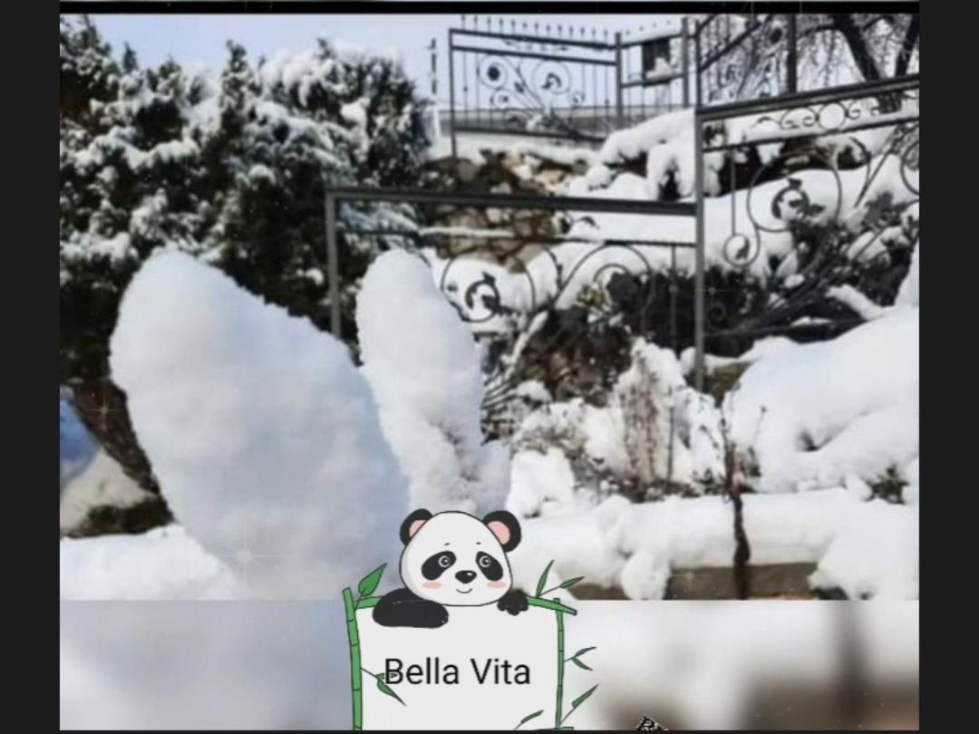 Apartman Bella Vita Kolašin Pokój zdjęcie